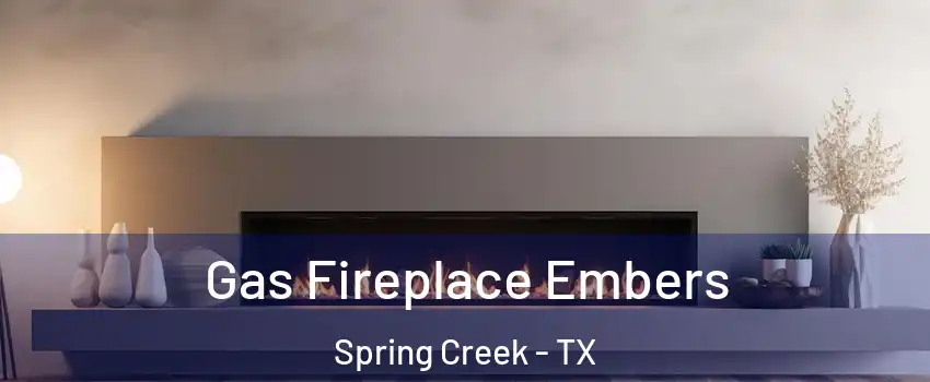 Gas Fireplace Embers Spring Creek - TX