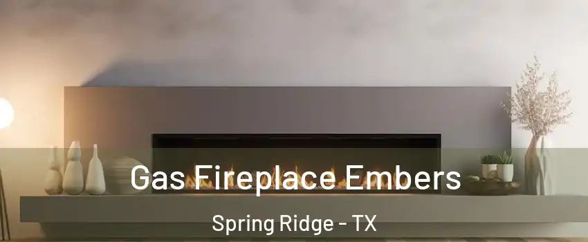 Gas Fireplace Embers Spring Ridge - TX