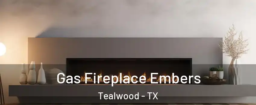 Gas Fireplace Embers Tealwood - TX