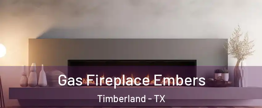 Gas Fireplace Embers Timberland - TX