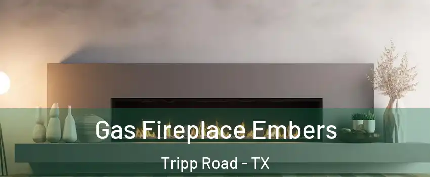 Gas Fireplace Embers Tripp Road - TX