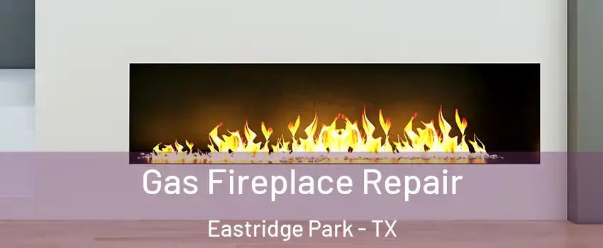Gas Fireplace Repair Eastridge Park - TX