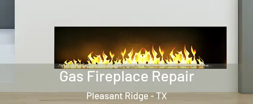 Gas Fireplace Repair Pleasant Ridge - TX