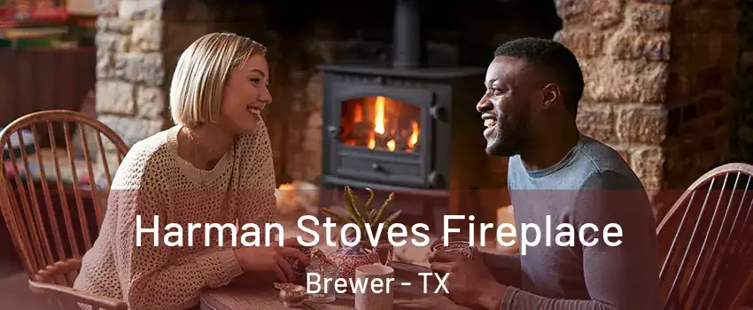 Harman Stoves Fireplace Brewer - TX