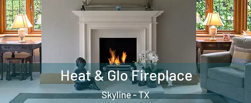 Heat & Glo Fireplace Skyline - TX