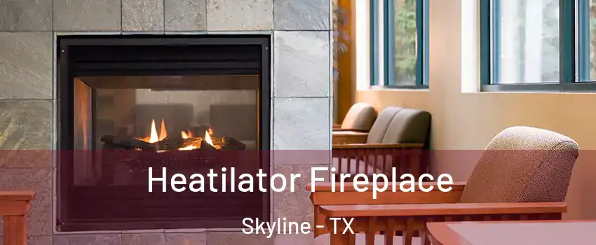 Heatilator Fireplace Skyline - TX