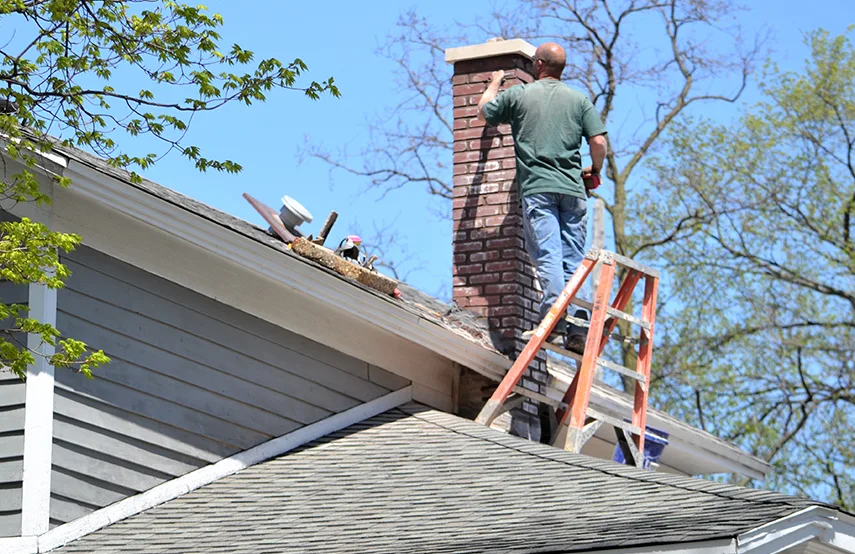 Chimney & Fireplace Inspections Services in Mesquite, TX