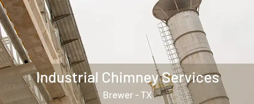 Industrial Chimney Services Brewer - TX