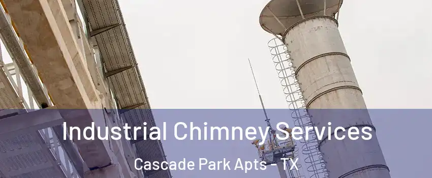 Industrial Chimney Services Cascade Park Apts - TX
