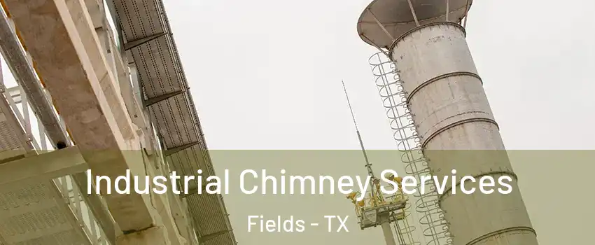 Industrial Chimney Services Fields - TX
