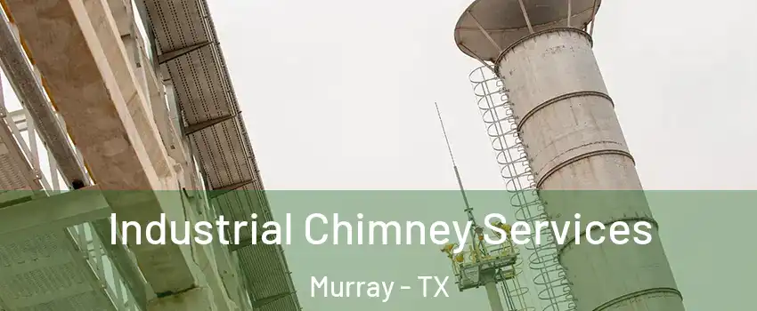Industrial Chimney Services Murray - TX