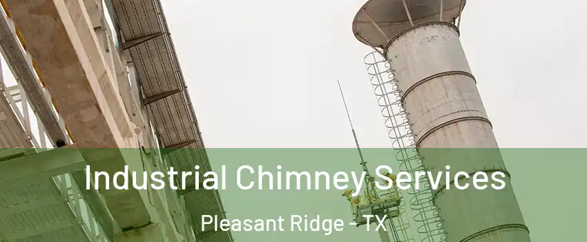 Industrial Chimney Services Pleasant Ridge - TX