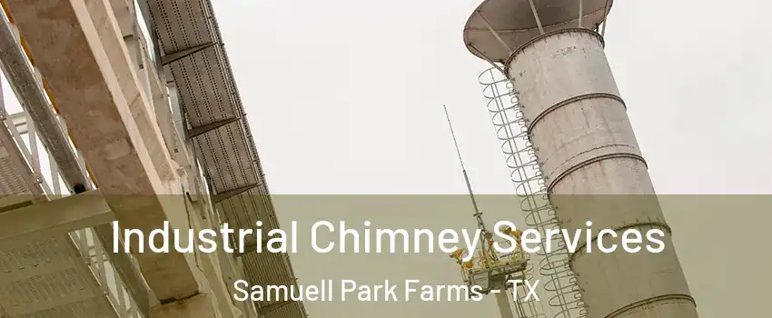 Industrial Chimney Services Samuell Park Farms - TX
