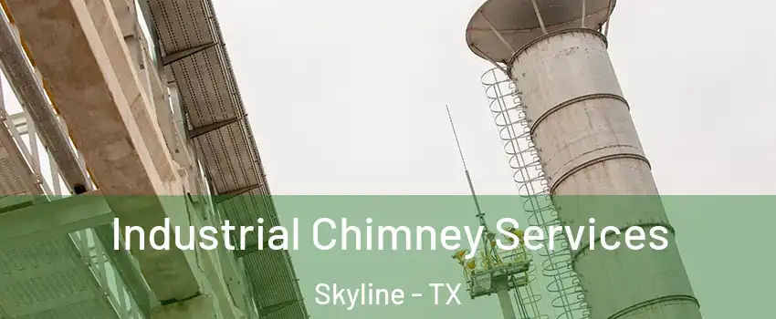Industrial Chimney Services Skyline - TX