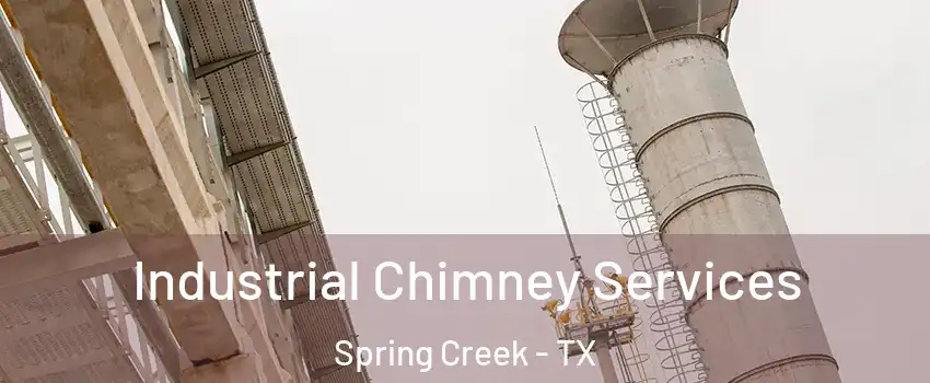 Industrial Chimney Services Spring Creek - TX