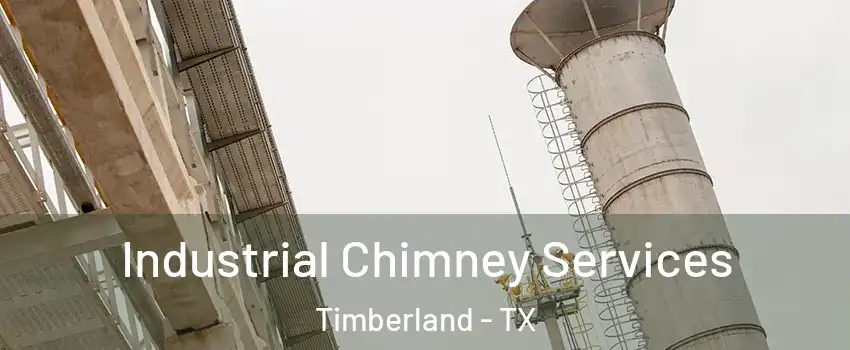 Industrial Chimney Services Timberland - TX