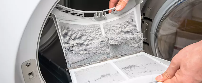 Best Dryer Lint Removal Company in Lakeside, Texas