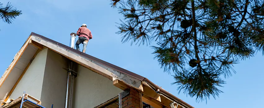 Birds Removal Contractors from Chimney in Fields, TX