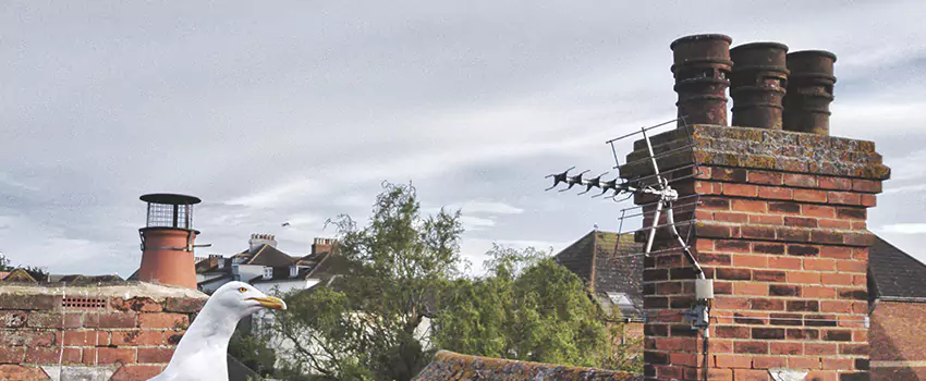 Chimney Cleaning And Restoration in Lakeside, Texas