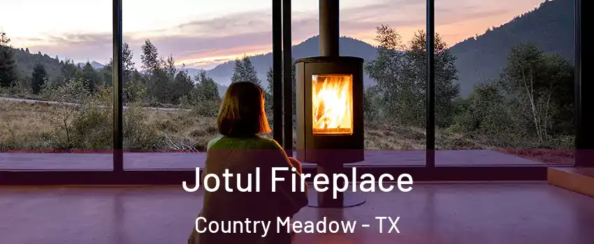Jotul Fireplace Country Meadow - TX