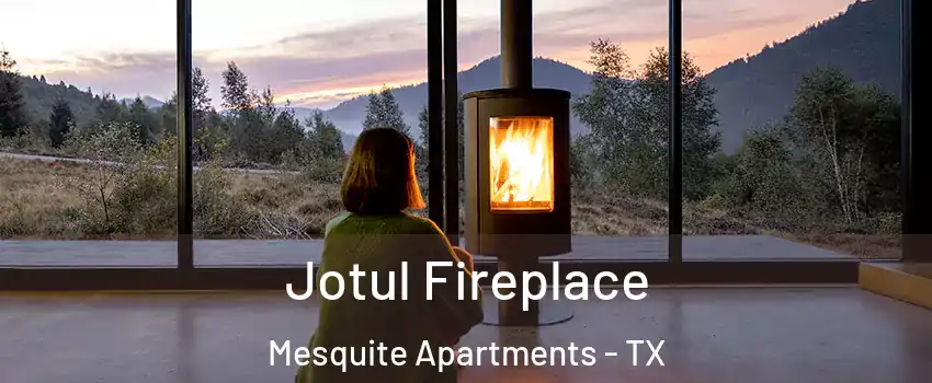 Jotul Fireplace Mesquite Apartments - TX