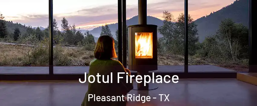 Jotul Fireplace Pleasant Ridge - TX