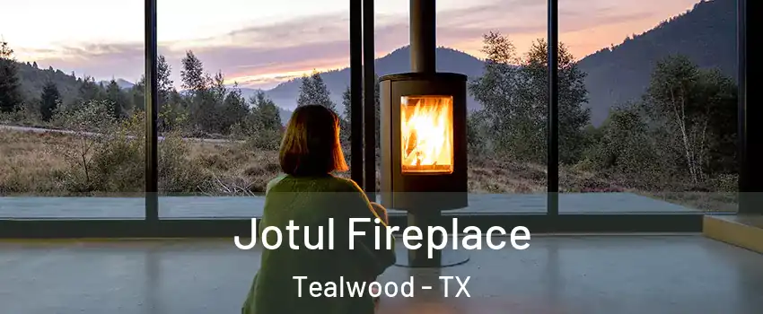 Jotul Fireplace Tealwood - TX