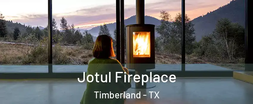 Jotul Fireplace Timberland - TX