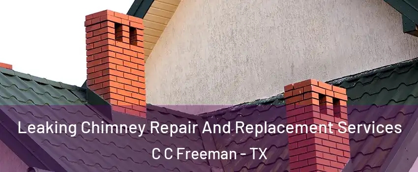 Leaking Chimney Repair And Replacement Services C C Freeman - TX