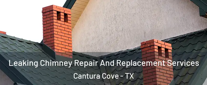 Leaking Chimney Repair And Replacement Services Cantura Cove - TX