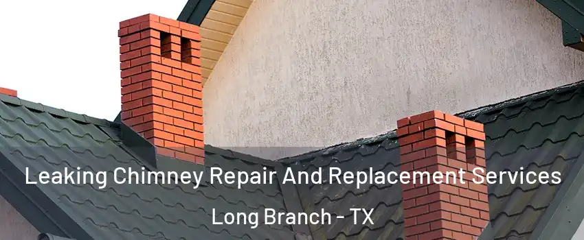Leaking Chimney Repair And Replacement Services Long Branch - TX