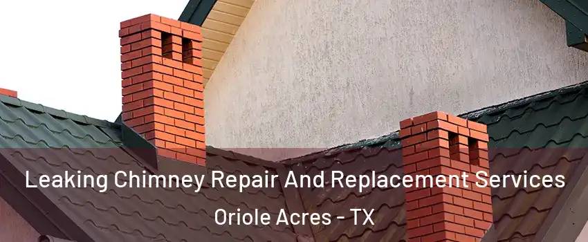 Leaking Chimney Repair And Replacement Services Oriole Acres - TX