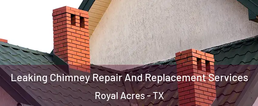 Leaking Chimney Repair And Replacement Services Royal Acres - TX