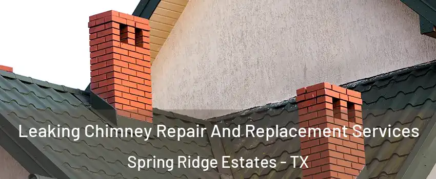 Leaking Chimney Repair And Replacement Services Spring Ridge Estates - TX