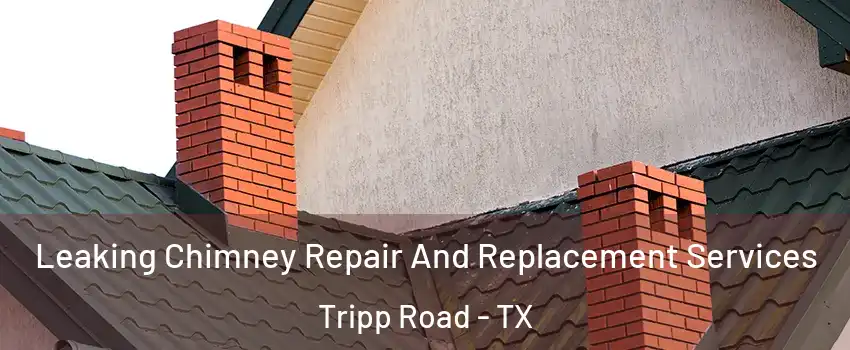 Leaking Chimney Repair And Replacement Services Tripp Road - TX