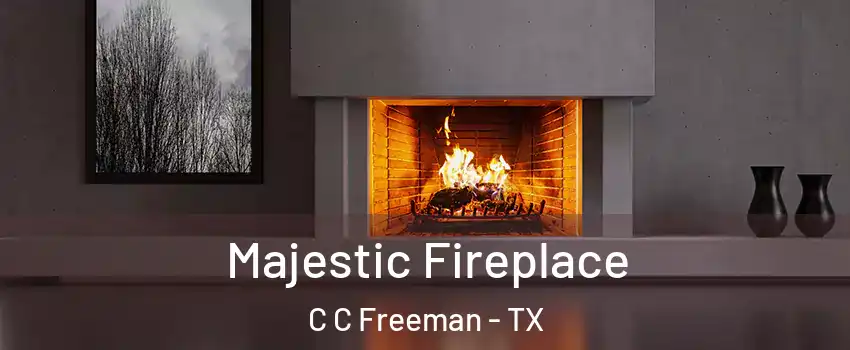 Majestic Fireplace C C Freeman - TX