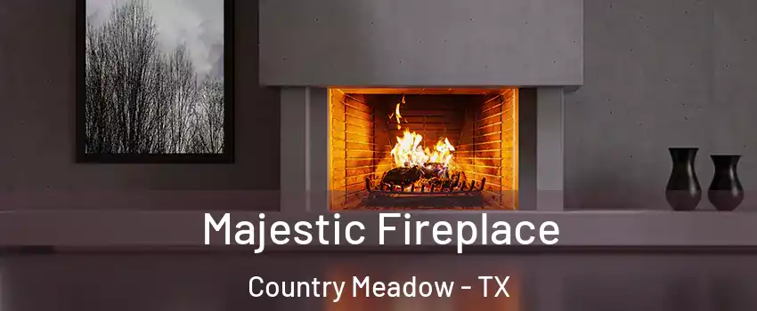 Majestic Fireplace Country Meadow - TX