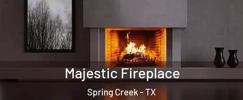 Majestic Fireplace Spring Creek - TX