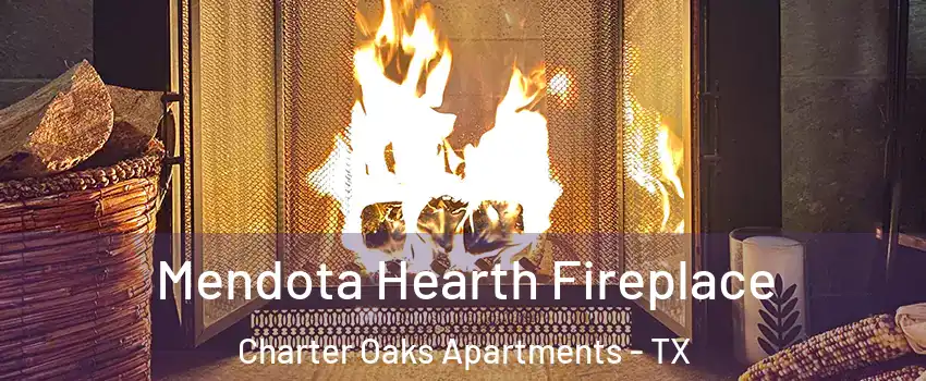 Mendota Hearth Fireplace Charter Oaks Apartments - TX