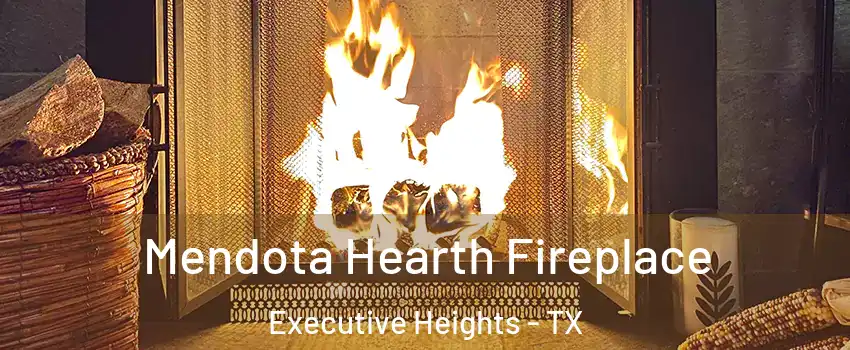 Mendota Hearth Fireplace Executive Heights - TX