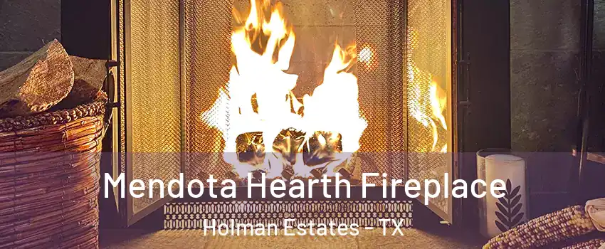Mendota Hearth Fireplace Holman Estates - TX