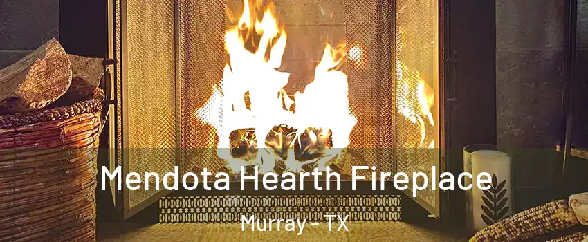 Mendota Hearth Fireplace Murray - TX