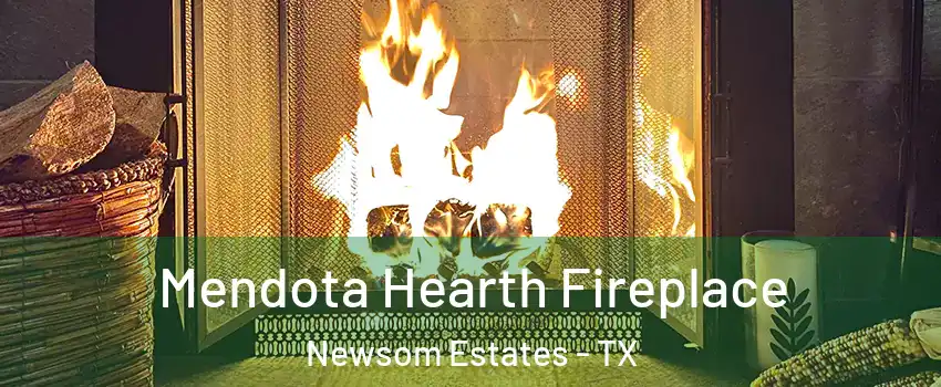 Mendota Hearth Fireplace Newsom Estates - TX