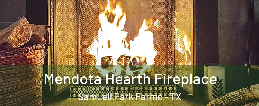 Mendota Hearth Fireplace Samuell Park Farms - TX