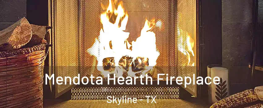 Mendota Hearth Fireplace Skyline - TX