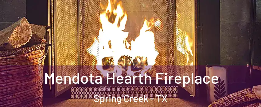 Mendota Hearth Fireplace Spring Creek - TX