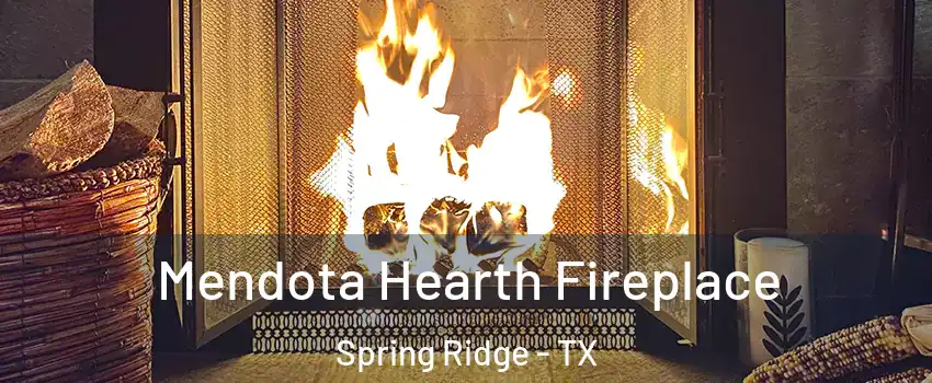 Mendota Hearth Fireplace Spring Ridge - TX