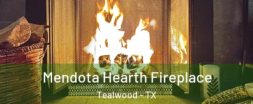 Mendota Hearth Fireplace Tealwood - TX