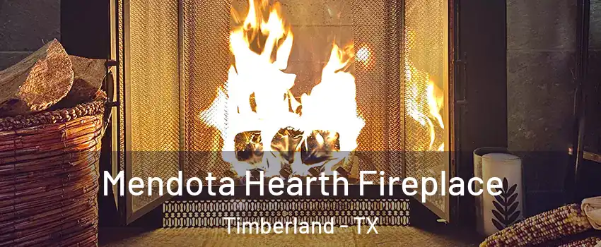 Mendota Hearth Fireplace Timberland - TX