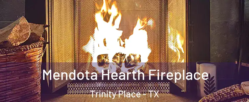 Mendota Hearth Fireplace Trinity Place - TX